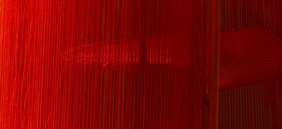 products Husk moroso Monza 1 products Husk moroso Monza 1