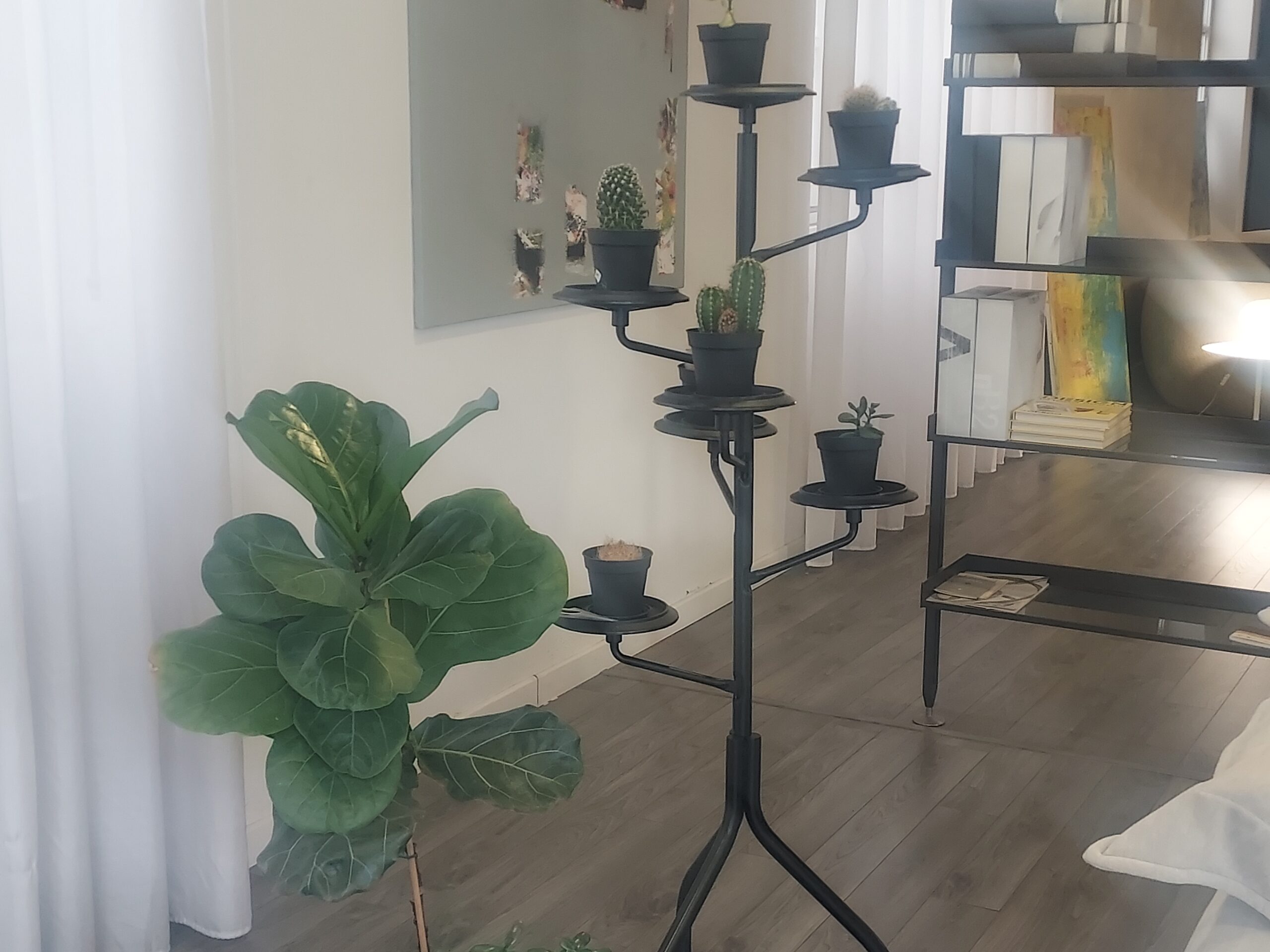 zanotta albero milano zanotta albero milano